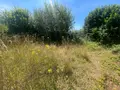 Maison a vendre Ambrières-les-Vallées 53300 Mayenne 53 75 m2 3 pièces 42400 euros 604 008