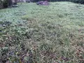 Terrain a batir a vendre Estrées-lès-Crécy 80150 Somme 80 100 m2 32500 euros 113/1446 004