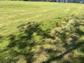 Terrain a batir a vendre Domvast 80150 Somme 80 699 m2 32500 euros 113/1570 004