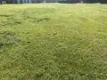 Terrain a batir a vendre Domvast 80150 Somme 80 699 m2 32500 euros 113/1570 005