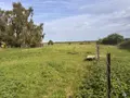 Terrain a batir a vendre Dominois 80120 Somme 80 100 m2 49500 euros 113/1743 004