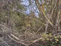 Terrain a batir a vendre Auxi-le-Château 62390 Pas-de-Calais 62 23500 euros 113/1750 002