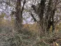 Terrain a batir a vendre Auxi-le-Château 62390 Pas-de-Calais 62 23500 euros 113/1750 003