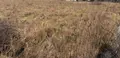 Terrain a batir a vendre Rue 80120 Somme 80 1000 m2 76880 euros 113/1766 002