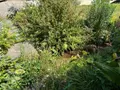 Maison a vendre Edern 29510 Finistère 29 120 m2 8 pièces 230600 euros MAIS/1093 037