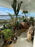 Appartement a vendre Arcachon 33120 Gironde 33 129 m2 4 pièces 1290000 euros 016/1107 003