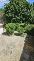 Maison a vendre Saint-Remy-en-Bouzemont-Saint-Genest-et-Isson 51290 Marne 51 180 m2 7 pièces 65000 euros 51081/983 016