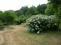 Maison a vendre Bannalec 29380 Finistère 29 132 m2 4 pièces 374400 euros 11352/965 009