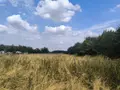 Terrain a batir a vendre Bérengeville-la-Campagne 27110 Eure 27 65000 euros 11206/1091293 001