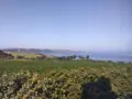 Maison a vendre Saint-Jean-du-Doigt 29630 Finistère 29 139 m2 7 pièces 472500 euros STVE 003