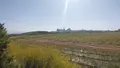 Maison a vendre Saint-Jean-du-Doigt 29630 Finistère 29 139 m2 7 pièces 472500 euros STVE 005