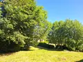 Maison a vendre Picherande 63113 Puy-de-Dôme 63 70 m2 4 pièces 189000 euros 2026-89-2026225 011