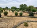 Maison a vendre Athie 89440 Yonne 89 159 m2 6 pièces 195000 euros 89099/140721 024