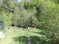 Maison a vendre Boussac 23600 Creuse 23 100 m2 6 pièces 138580 euros 23010-113786 029