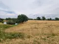 Propriete a vendre Montaiguët-en-Forez 03130 Allier 03 302 m2 8 pièces 550000 euros 20371 024