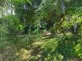 Maison a vendre Égletons 19300 Corrèze 19 185 m2 6 pièces 269360 euros 10803/132 019
