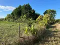 Maison a vendre Cheviré-le-Rouge 49150 Maine-et-Loire 49 110 m2 5 pièces 125400 euros LB/2584 025