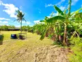 Terrain a batir a vendre Saint-André 97440 La Réunion 974 826 m2 209520 euros 97424/306 006