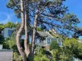 Maison a vendre Perros-Guirec 22700 Côtes-d'Armor 22 101 m2 5 pièces 627150 euros A56 017