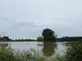 Bien agricole a vendre Martizay 36220 Indre 36 1580600 euros 1047984ALF 002
