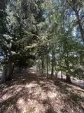Maison a vendre Argentonnay 79150 Deux-Sèvres 79 170 m2 5 pièces 225750 euros AGM 101** 022