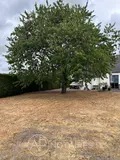 Maison a vendre Ercé-près-Liffré 35340 Ille-et-Vilaine 35 112 m2 5 pièces 271700 euros 35026/16 014