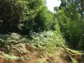 Terrains de loisirs bois etangs a vendre Bonnétable 72110 Sarthe 72 6200 euros 079/2044 002