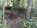 Terrains de loisirs bois etangs a vendre Bonnétable 72110 Sarthe 72 6200 euros 079/2044 007
