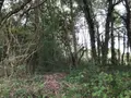 Terrains de loisirs bois etangs a vendre Bonnétable 72110 Sarthe 72 6200 euros 079/2044 006