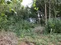 Terrains de loisirs bois etangs a vendre Bonnétable 72110 Sarthe 72 6200 euros 079/2044 005