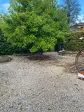 Maison a vendre Valcourt 52100 Haute-Marne 52 93 m2 4 pièces 70100 euros JO/1080 019