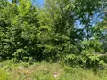 Terrain a batir a vendre La Chapelle-aux-Bois 88240 Vosges 88 800 m2 15000 euros 88014/80 002