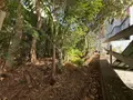 Maison a vendre Saint-Denis 97400 La Réunion 974 75 m2 4 pièces 376700 euros 97405/316 018
