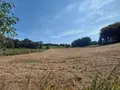Bien agricole a vendre Malguénac 56300 Morbihan 56 7500 euros 063-526 002