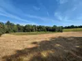Bien agricole a vendre Malguénac 56300 Morbihan 56 7500 euros 063-526 001