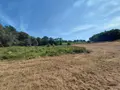 Bien agricole a vendre Malguénac 56300 Morbihan 56 7500 euros 063-526 003