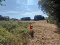 Bien agricole a vendre Malguénac 56300 Morbihan 56 7500 euros 063-526 004