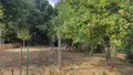 Maison a vendre Pluméliau-Bieuzy 56930 Morbihan 56 96 m2 4 pièces 156300 euros 065/1886 004