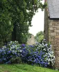 Propriete a vendre Locronan 29180 Finistère 29 163 m2 8 pièces 377280 euros 3303-30 015