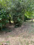 Maison a vendre Saint-Sernin-du-Bois 71200 Saône-et-Loire 71 48 m2 27400 euros 13744/336 011