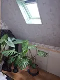 Maison a vendre Uxem 59229 Nord 59 94 m2 6 pièces 249600 euros MAIS00849 009