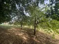 Terrain a batir a vendre Ribérac 24600 Dordogne 24 1924 m2 27000 euros 077/1750 011