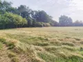 Terrain a batir a vendre Tercé 86800 Vienne 86 49800 euros 2571 001