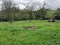 Maison a vendre Bannes 46400 Lot 46 90 m2 3 pièces 121600 euros 46030/MAIS/593 013