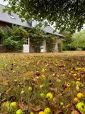 Maison a vendre Limésy 76570 Seine-Maritime 76 175 m2 8 pièces 380000 euros 76062-32 008