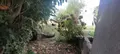 Maison a vendre Crozon 29160 Finistère 29 77 m2 5 pièces 295120 euros 3312-70 010