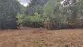 Terrain a batir a vendre Pluméliau-Bieuzy 56930 Morbihan 56 817 m2 35000 euros 065/1890 004