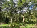 Terrains de loisirs bois etangs a vendre Châteauneuf-du-Faou 29520 Finistère 29 85600 euros 29060-1080156 002