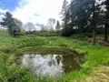 Terrains de loisirs bois etangs a vendre Châteauneuf-du-Faou 29520 Finistère 29 85600 euros 29060-1080156 003