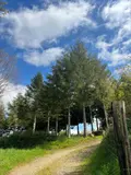 Terrains de loisirs bois etangs a vendre Châteauneuf-du-Faou 29520 Finistère 29 85600 euros 29060-1080156 004